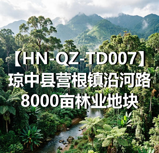 HN-QZ-TD007琼中县营根镇沿河路8000亩林业地块