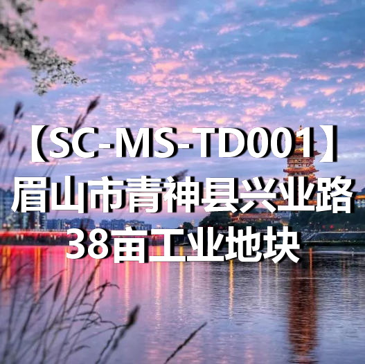 SC-MS-TD001眉山市青神县兴业路38亩工业地块