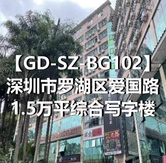 GD-SZ-BG102深圳市罗湖区爱国路1.5万平综合写字楼