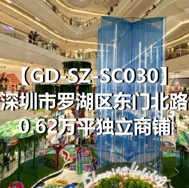 GD-SZ-SC030深圳市罗湖区东门北路0.62万平独立商铺