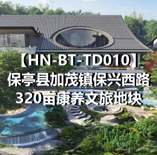 HN-BT-TD010保亭县加茂镇保兴西路320亩康养文旅地块