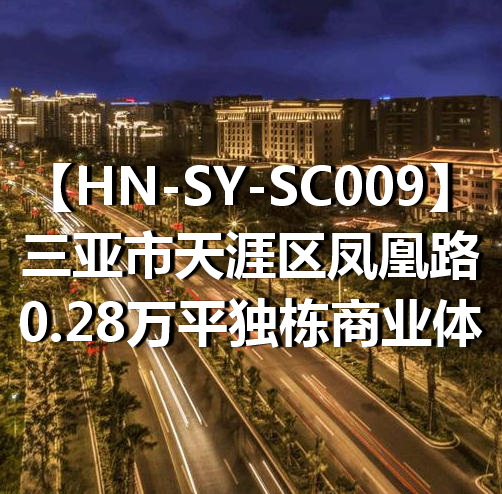 HN-SY-SC009三亚市天涯区凤凰路0.28万平独栋商业体