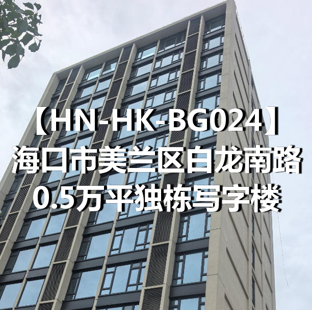 HN-HK-BG024海口市美兰区白龙南路0.5万平独栋写字楼