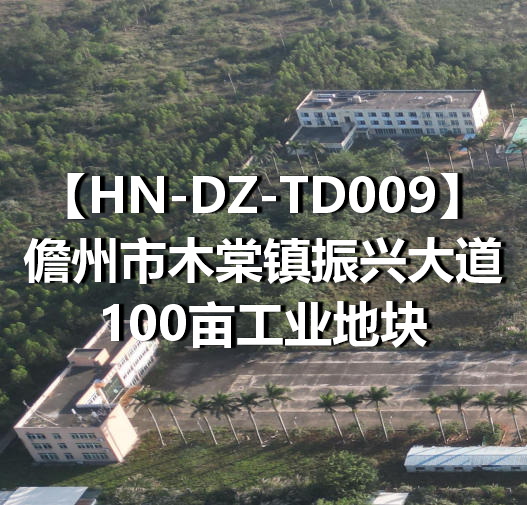 HN-DZ-TD009儋州市木棠镇振兴大道100亩工业地块