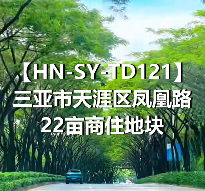 HN-SY-TD121三亚市天涯区凤凰路22亩商住地块