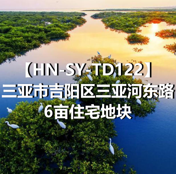 HN-SY-TD122三亚市吉阳区三亚河东路6亩住宅地块