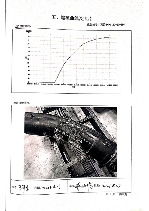 D508特种设备型式试验报告2
