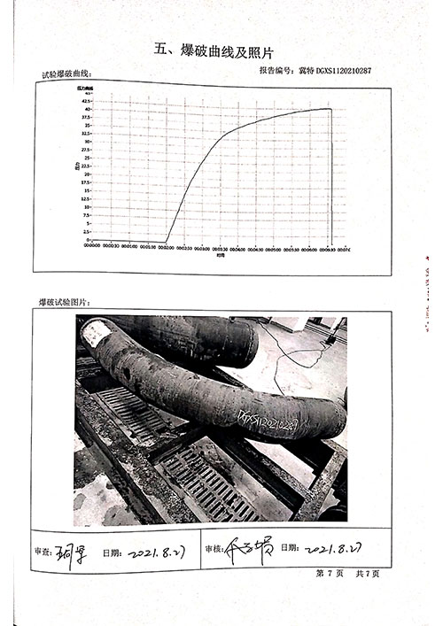 D325特种设备型式试验报告1