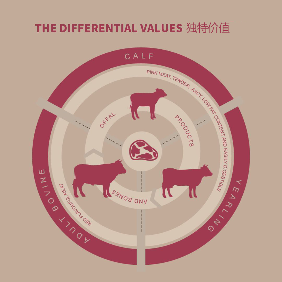8. THE DIFFERANT VALUES