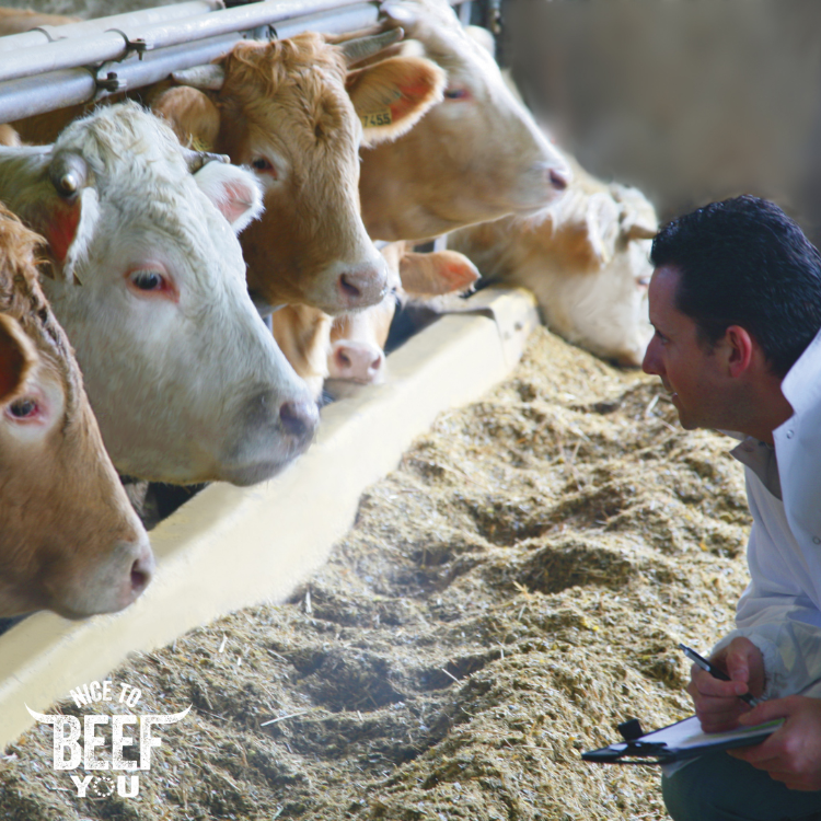 2. BEEF from Italy_ASSOCARNI History