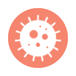 Anti Infection
