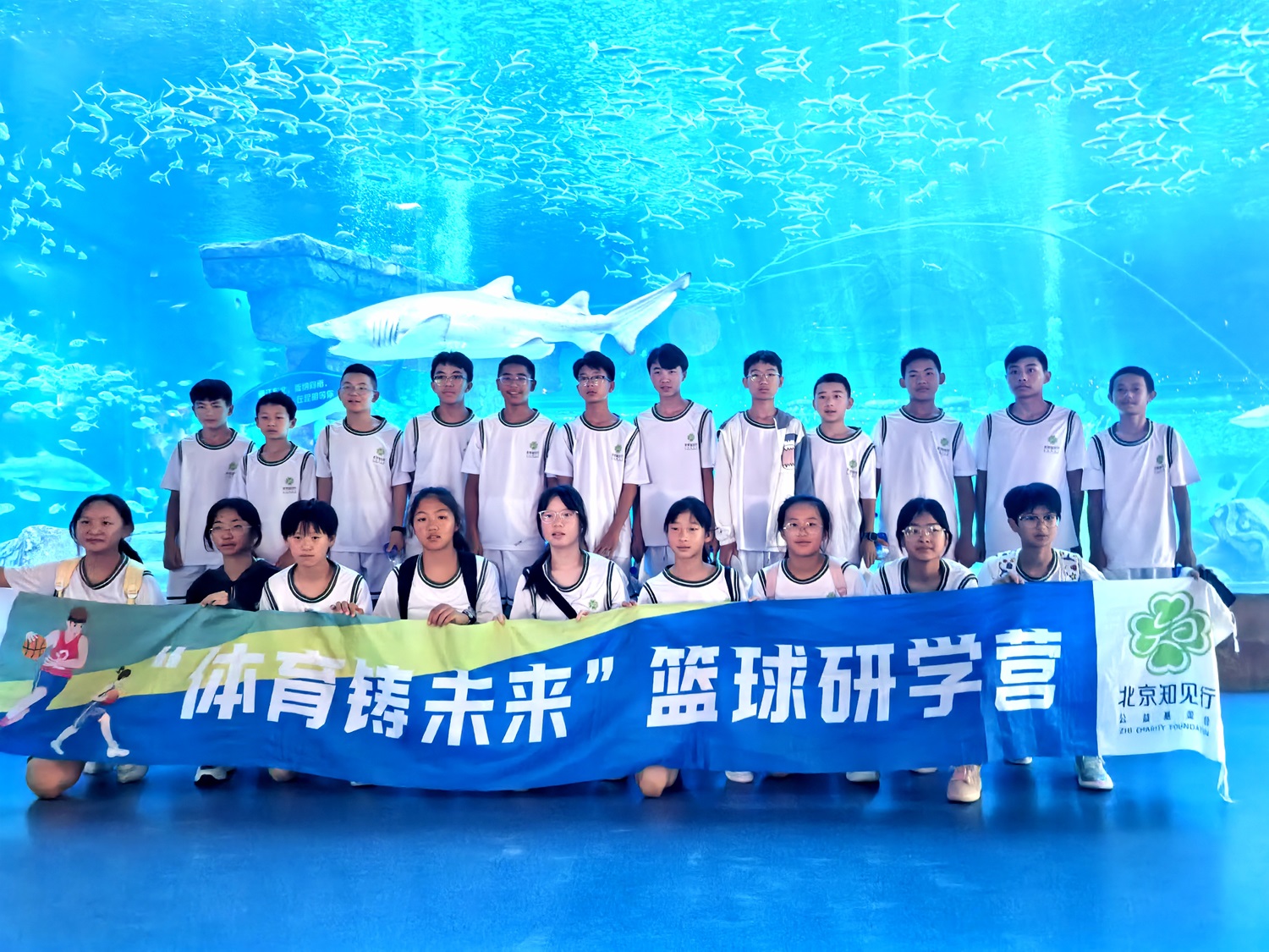 篮球研学营