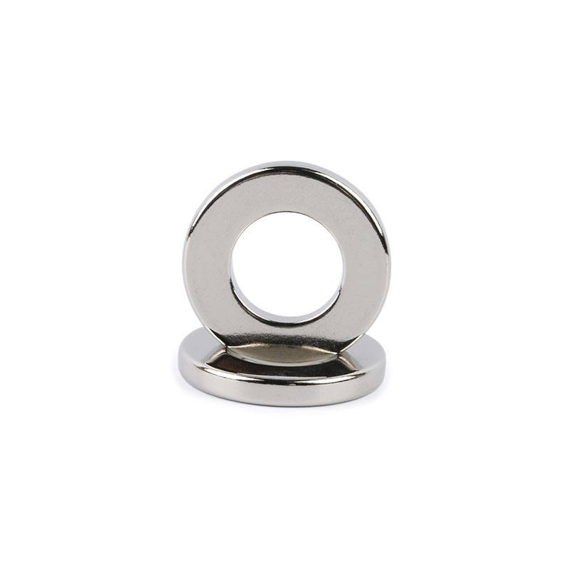 Ring shape magnet