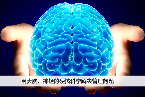 脑神经科学系列