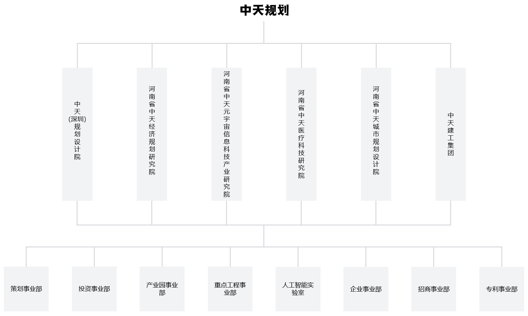 组织架构