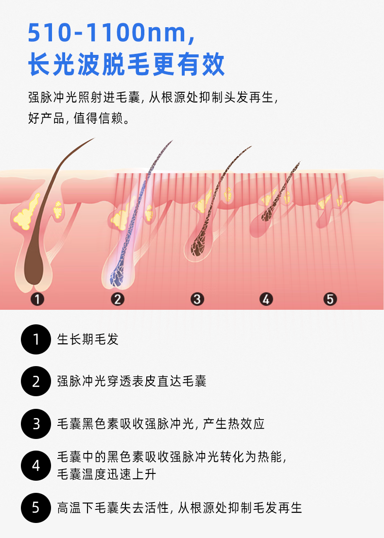 描述