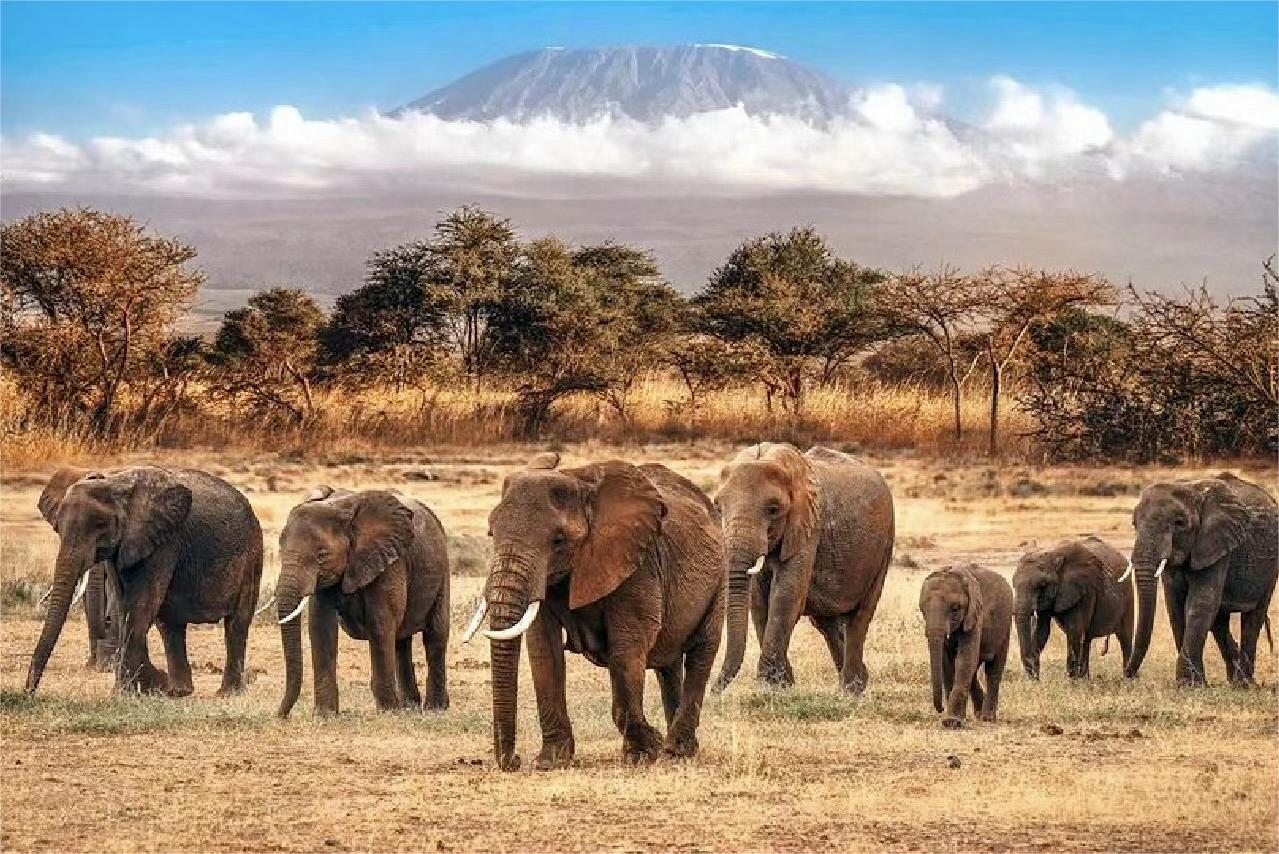 384e6c48b37868a5ca6cc3b12acd6bc_20231226_17035828657451450