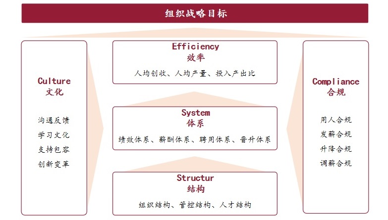 模型框架