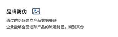 描述