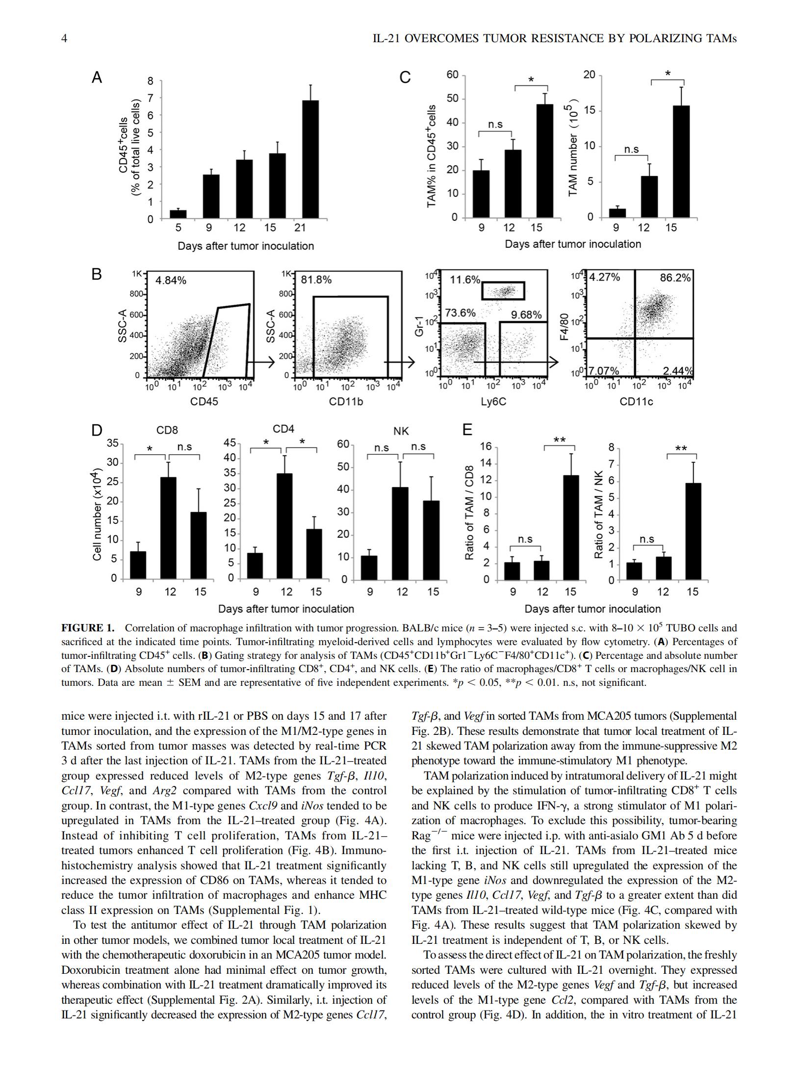 2015-J  Immunol-Her2+IL-21_03