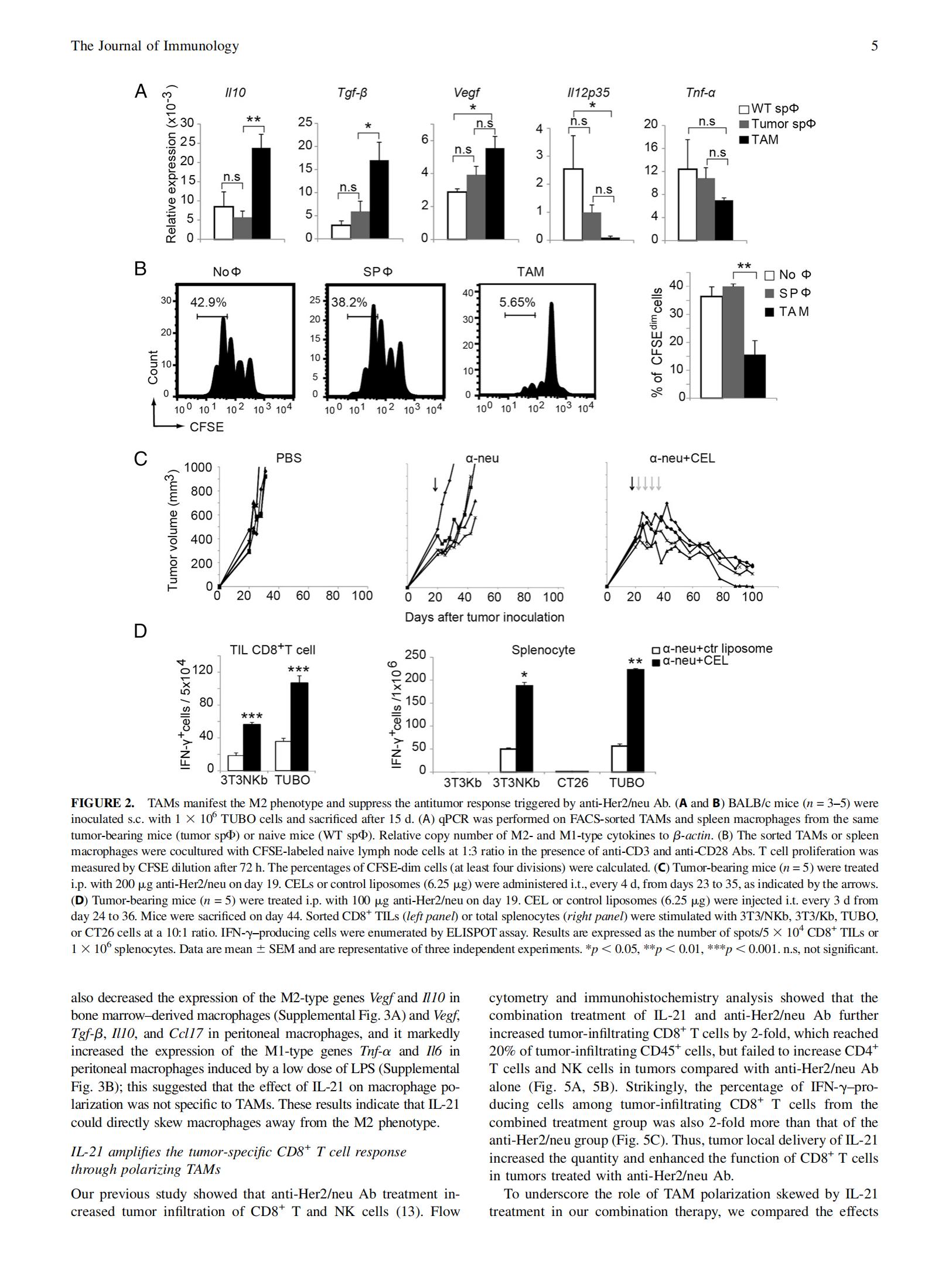 2015-J  Immunol-Her2+IL-21_04