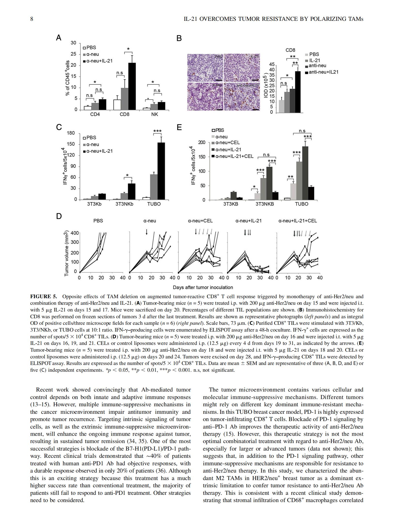 2015-J  Immunol-Her2+IL-21_07