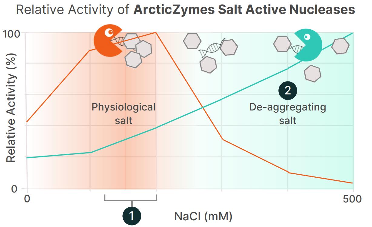 盐活性核酸酶（Salt Active Nuclease）