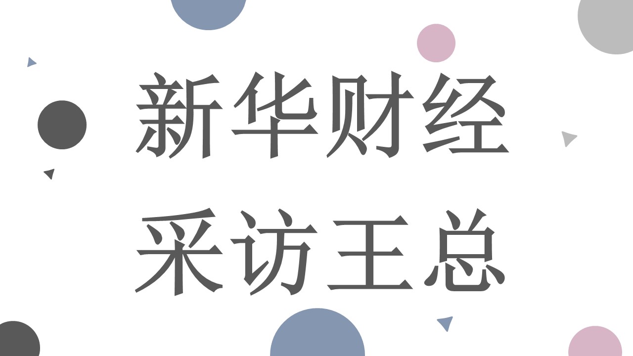 新华财经采访王总
