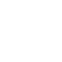 描述