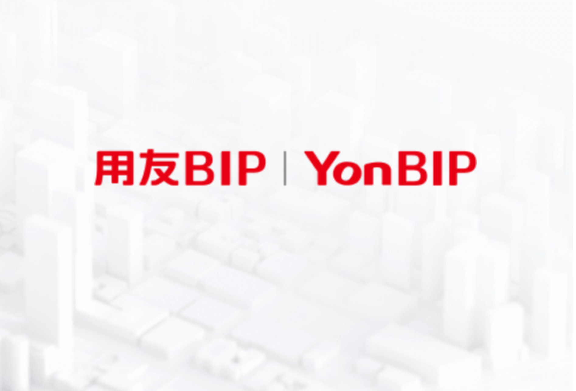 BIP旗舰版