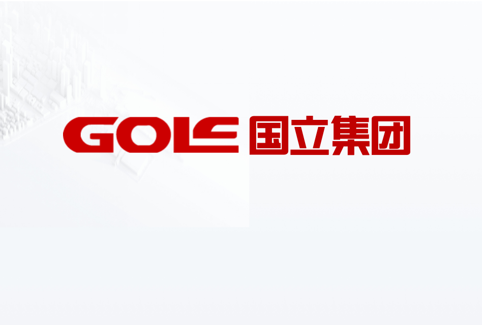 河南国立控股有限公司