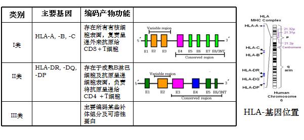 描述