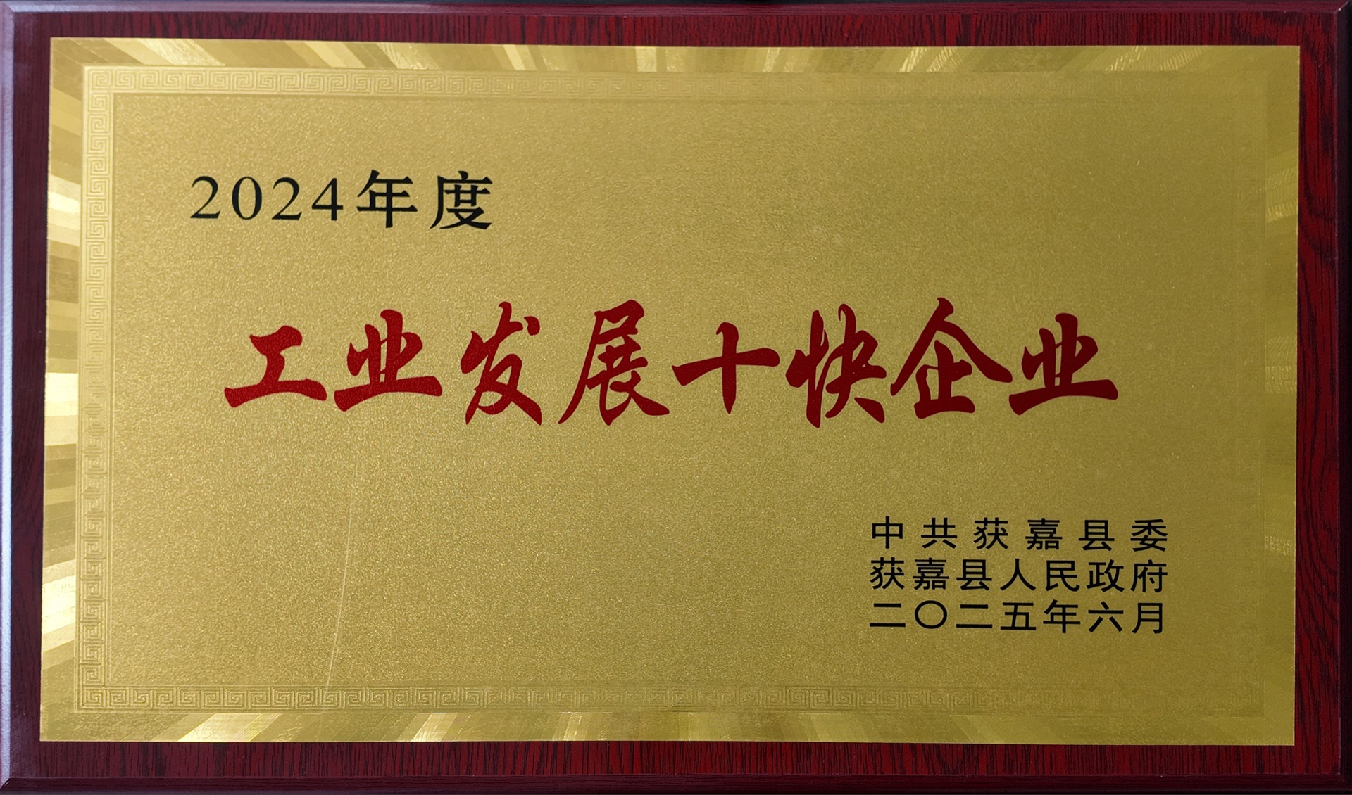 新乡市嘉辰节能环保有限公司荣膺获嘉县2024年...