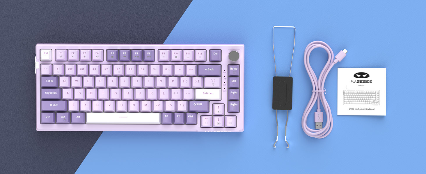 メグ SKY81 (Gasket Wired)