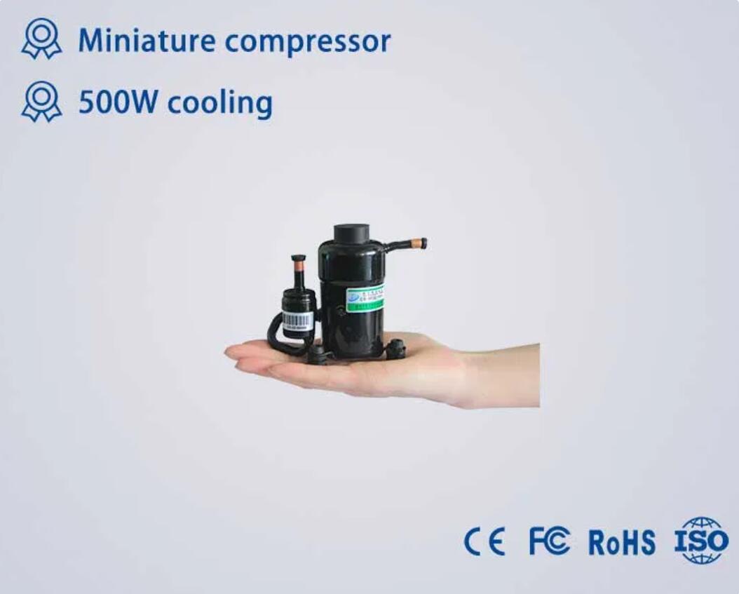 019 Mininature Compressor