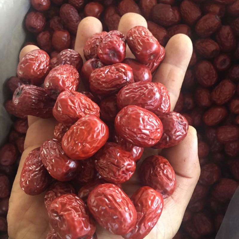 Red Jujube