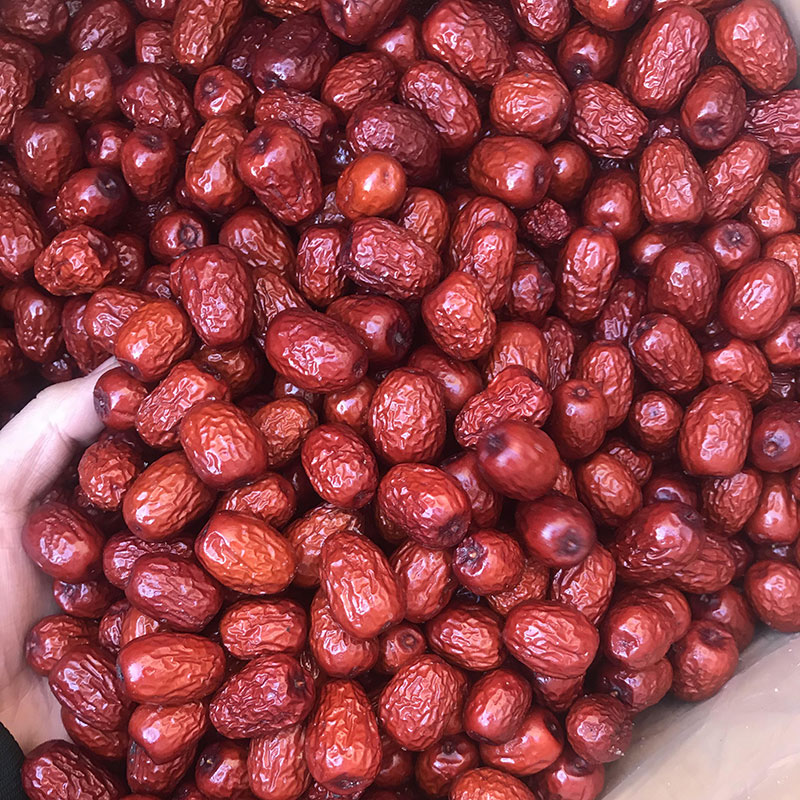 Red Jujube