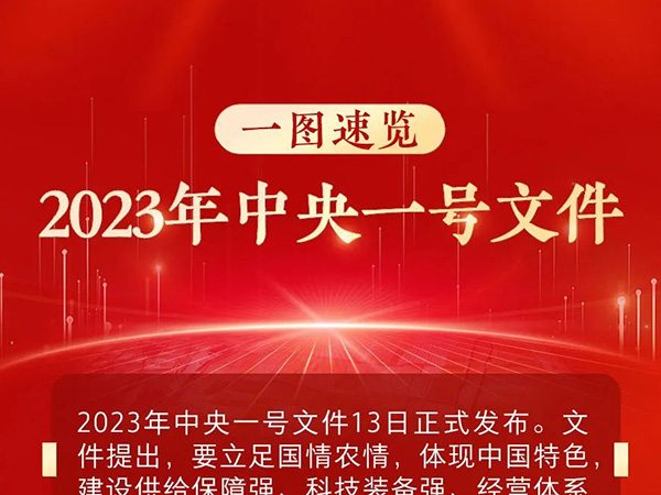 年中央一号文件公布