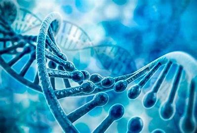 DNA扩增、纯化相关产品及试剂盒