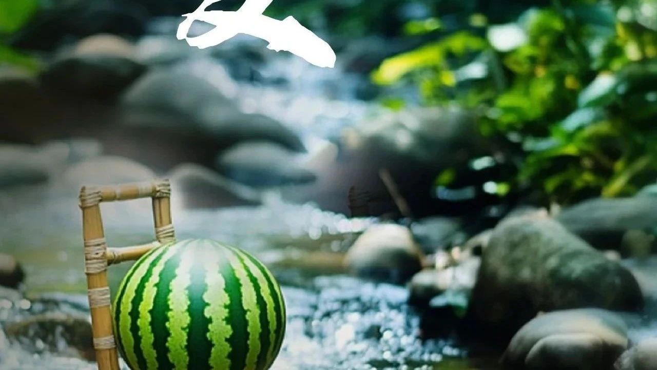 立夏｜绿荫渐浓时，愿生如夏花