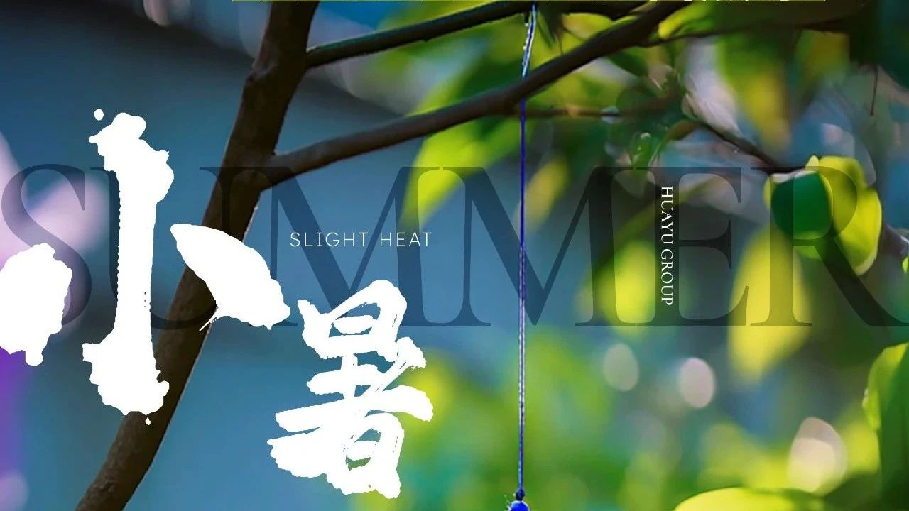 小暑|倏忽温风至，因循小暑来