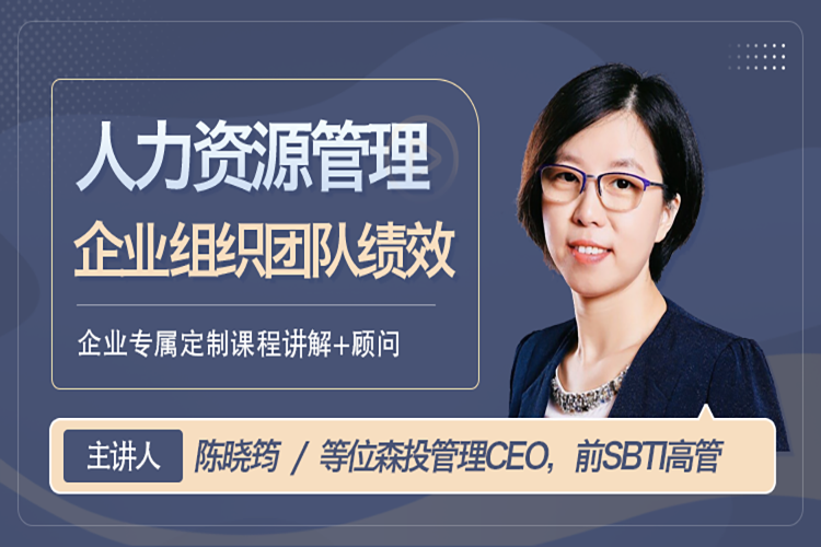 人力资源企业组织团队绩效