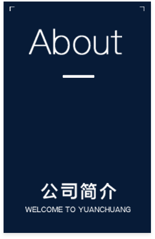 描述