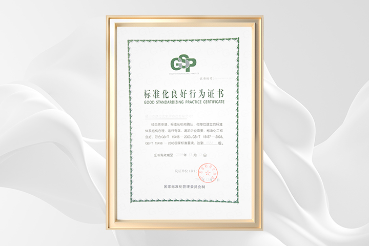 标准化良好行为