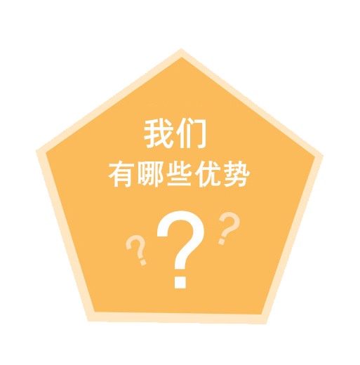 描述