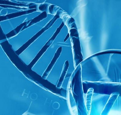 生物經(jīng)濟(jì)