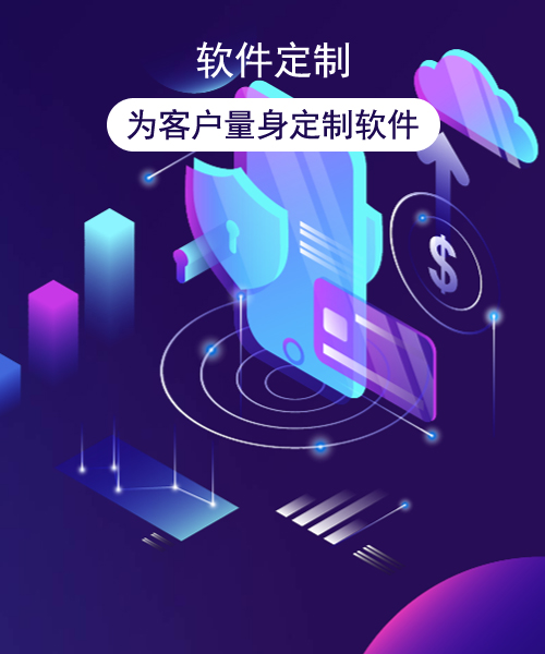 软件定制
