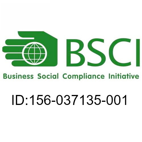 BSCI  2023-2024