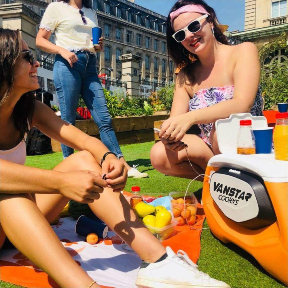 Picnics