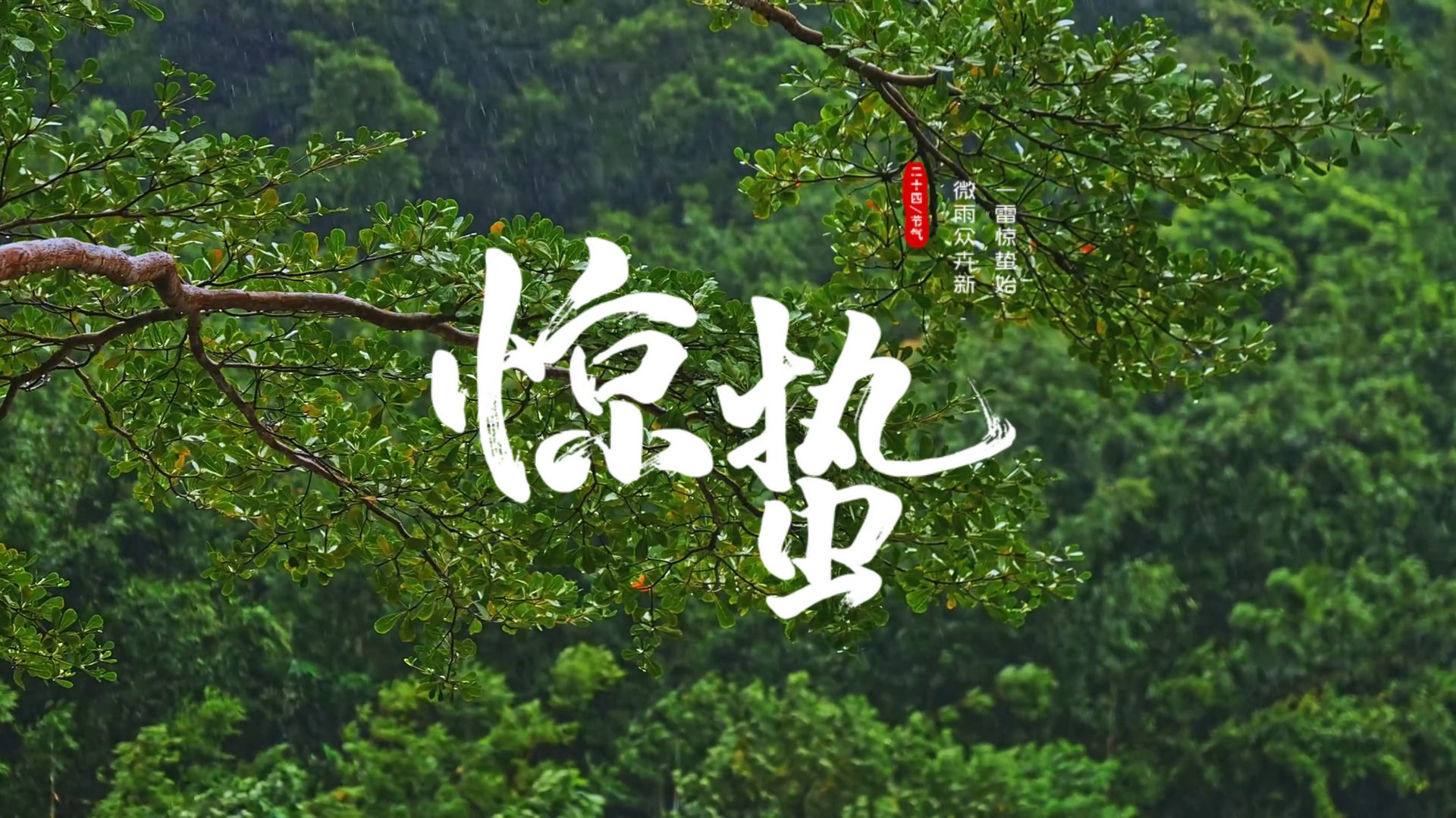 描述
